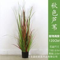 XU0613058